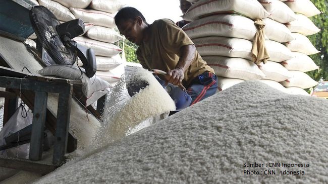 Bank Dunia Sebut Beras dari Indonesia Termahal se-ASEAN